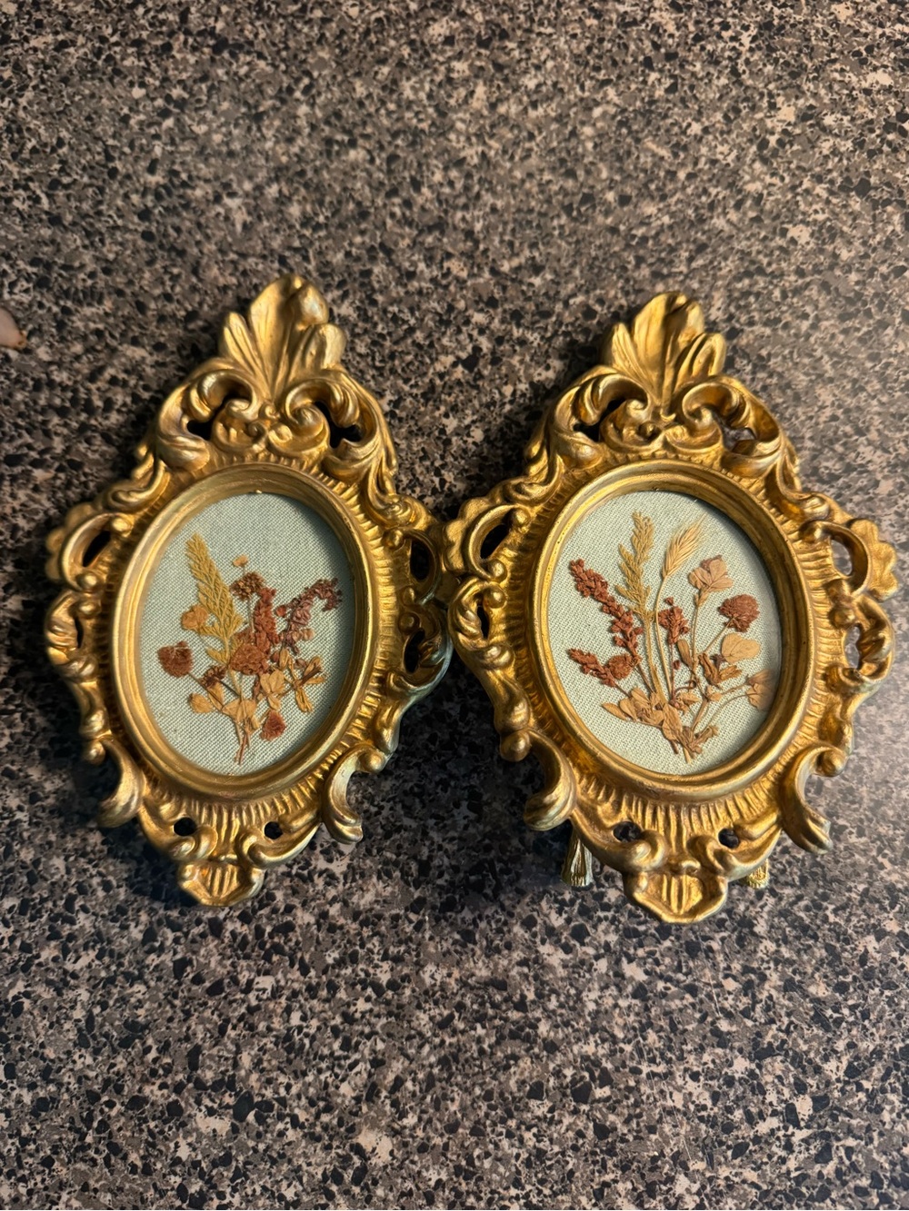 VTG Gold Ornate Oval Floral Wall Plaque Pair- Real Plants Inside Frame